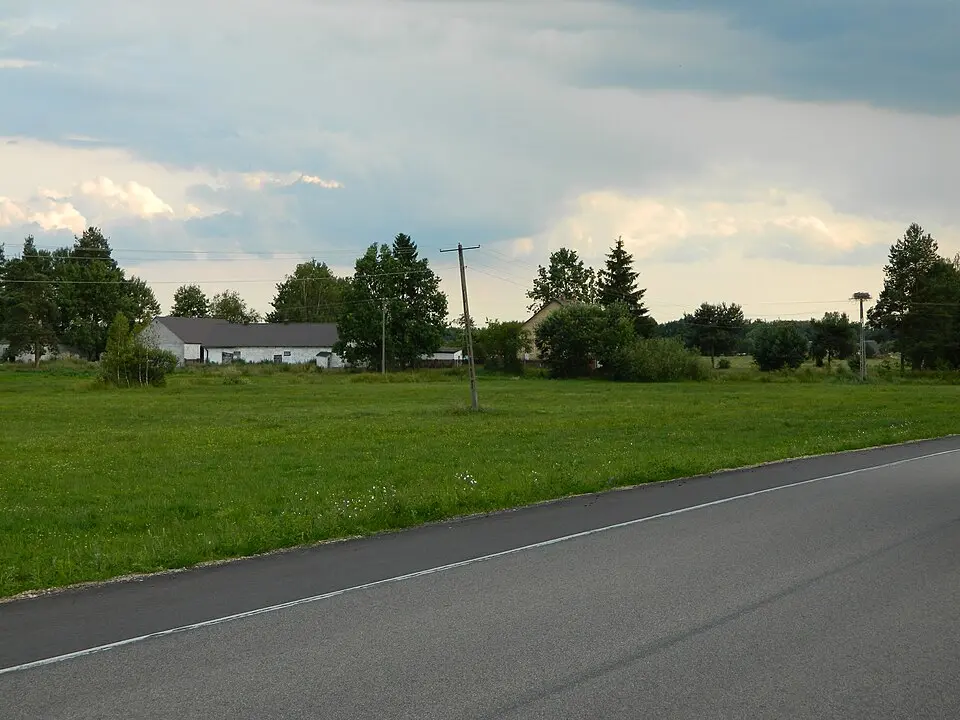 Szafranki