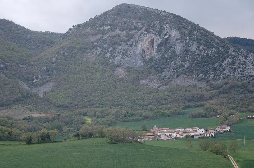 Goñi