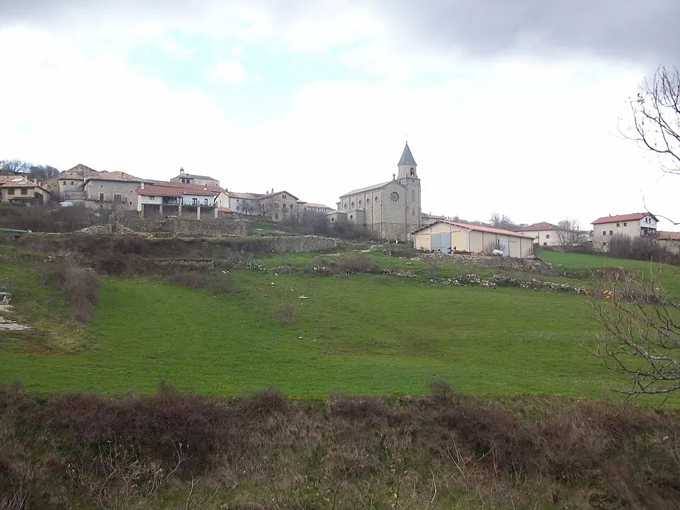 Goñi