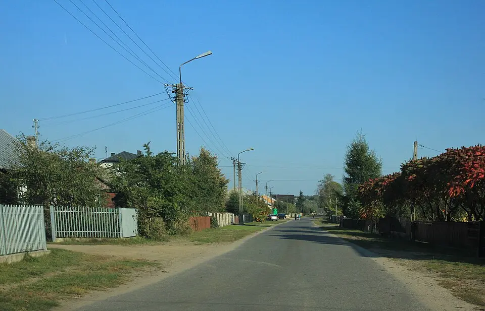 Gołąbek