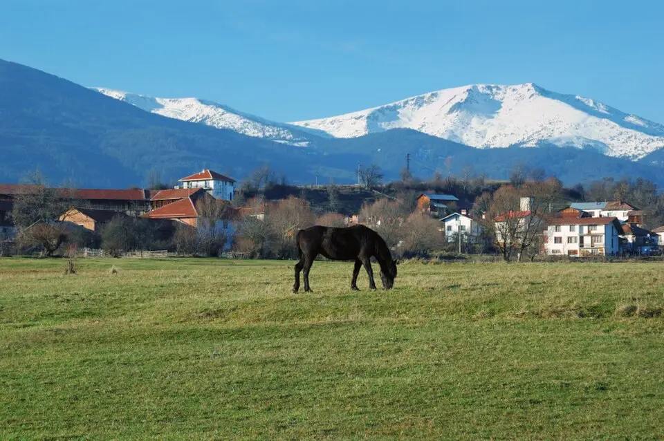 Годлево