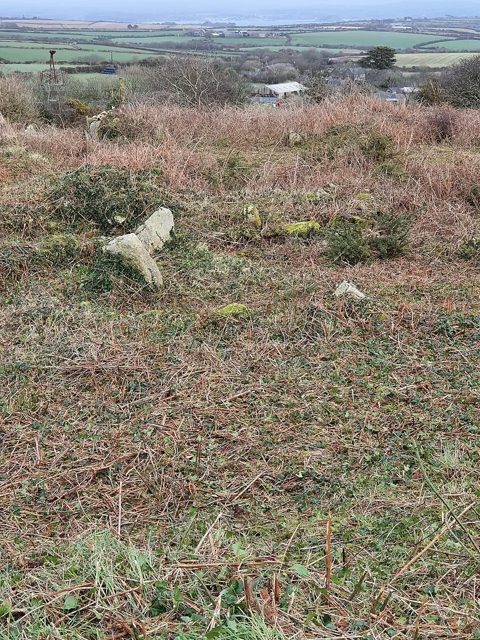 Round, courtyard house settlement and field system 140m WNW of Goldherring