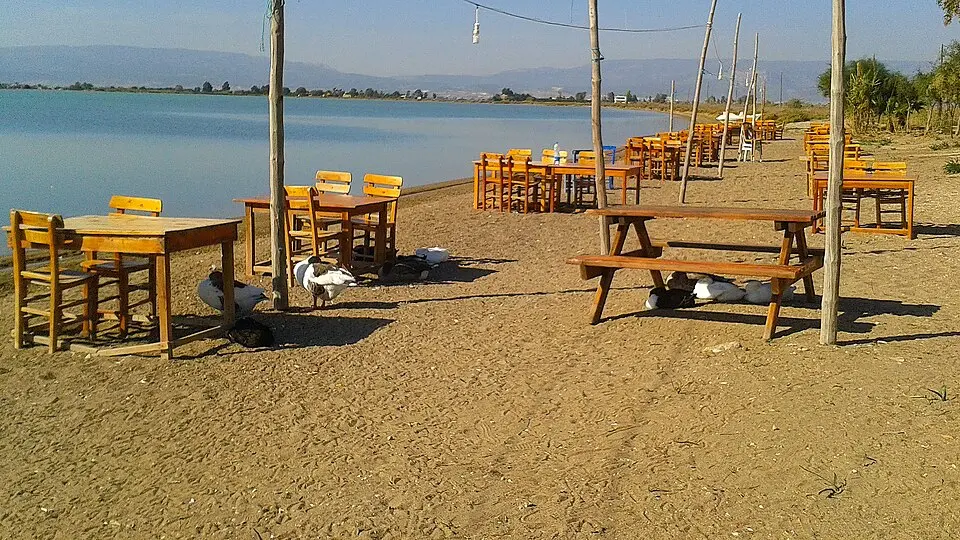 Kurtuluş