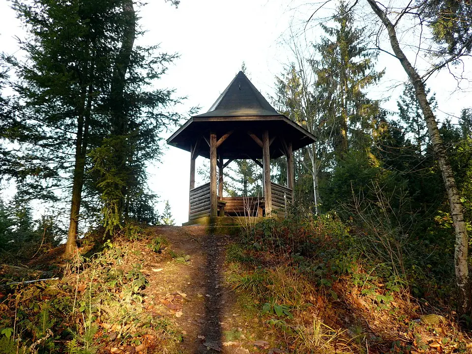Goldkopf