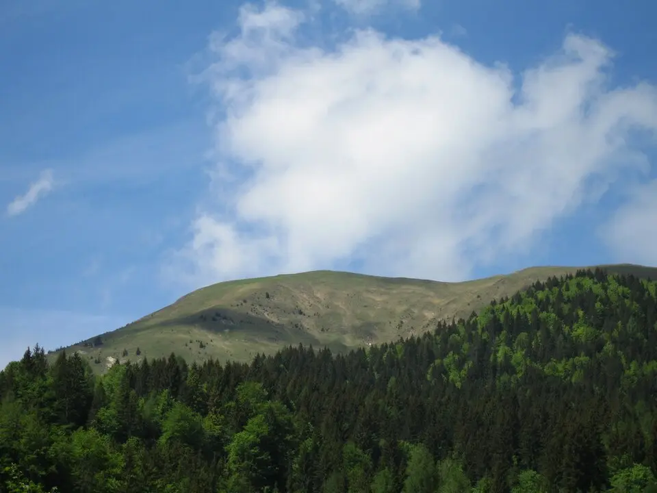 Golica