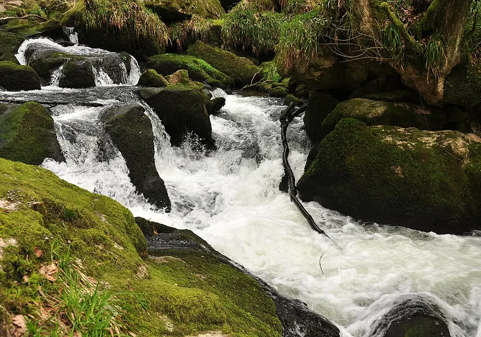 Golitha Falls