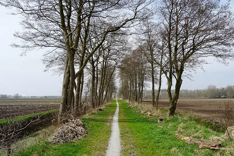 Boven Veensloot