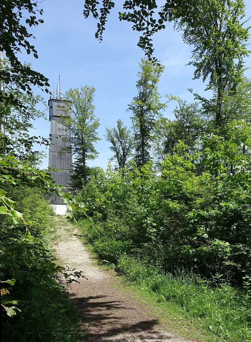 Sternbergturm
