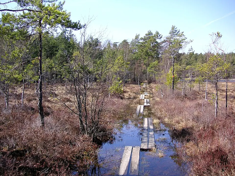 Gömmaren