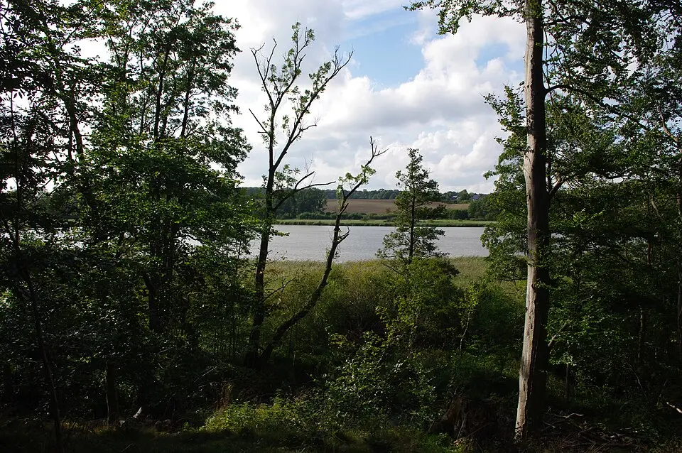 Goossee