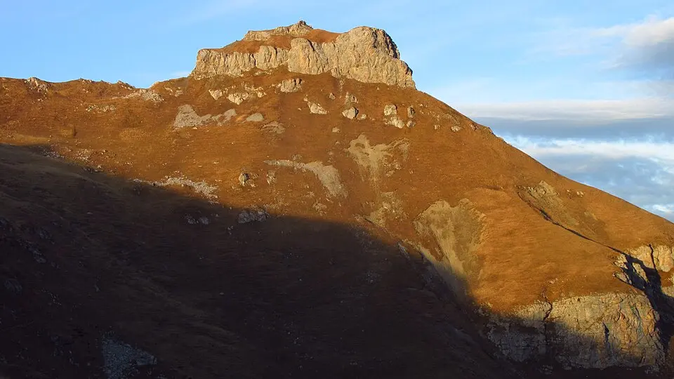 Gorvion