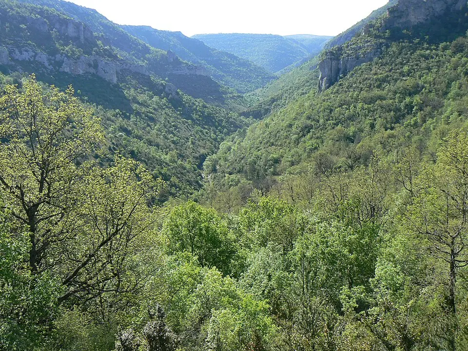 Virenque