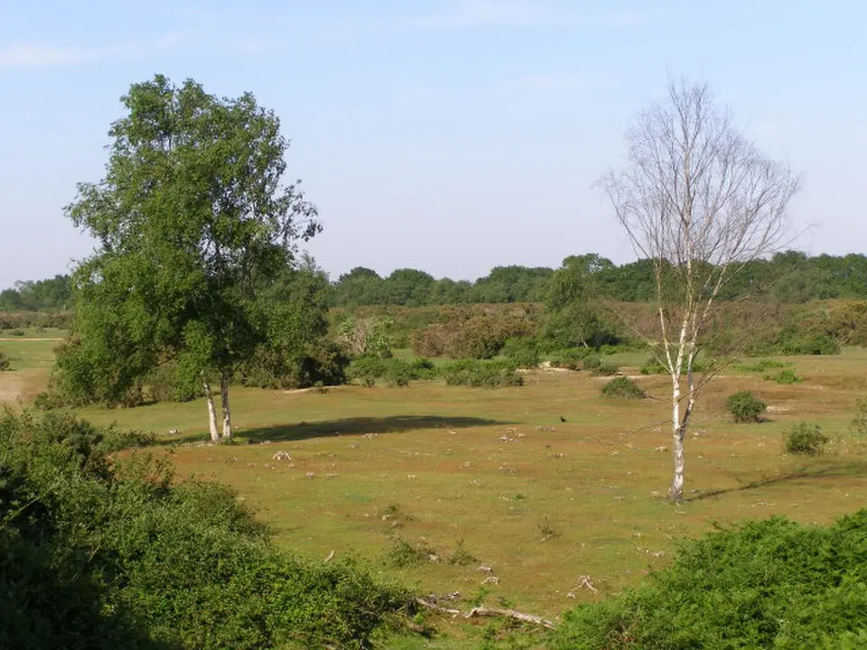 Gorley Hill
