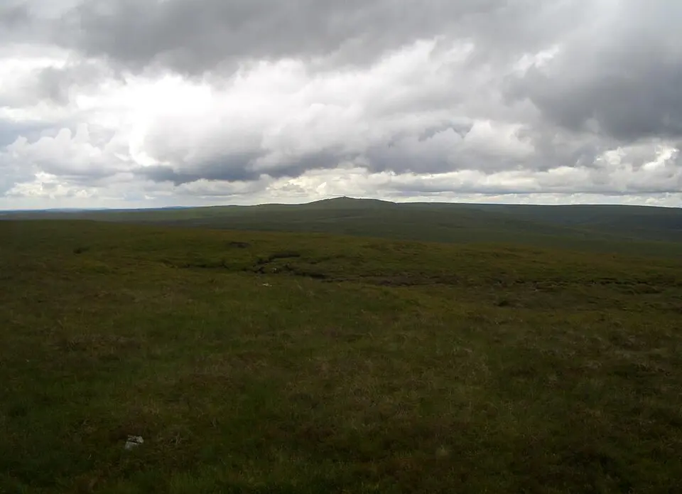 Gorllwyn