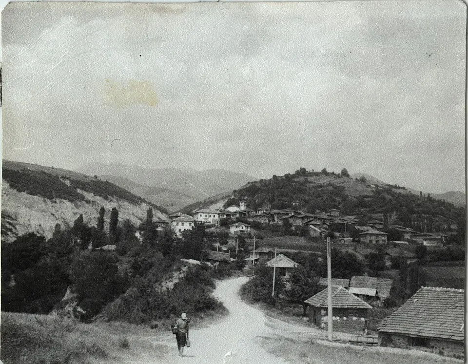 Горна Сушица