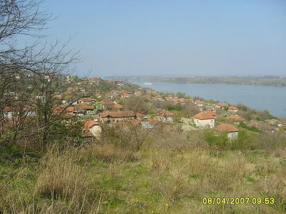 Горни Вадин