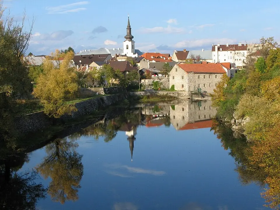 Novčica