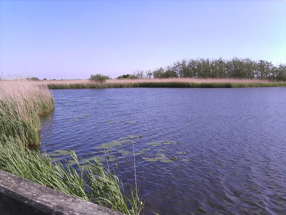 Gotteskoog