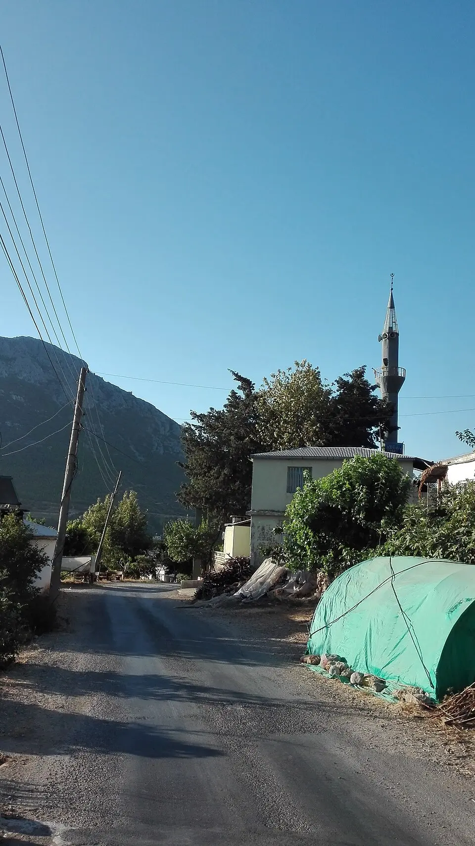 Gözce