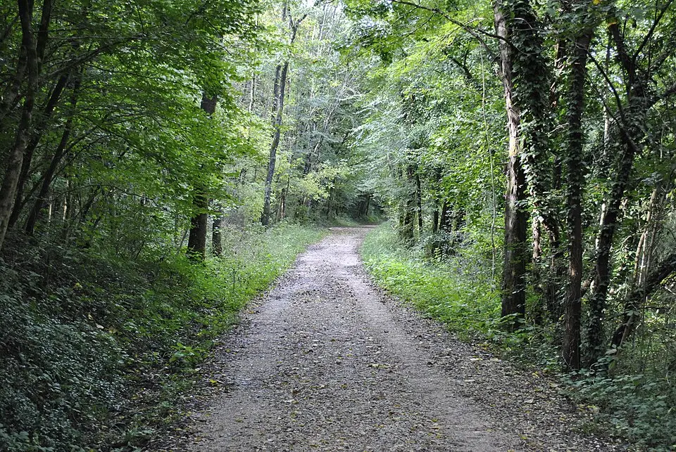 Gozdna učna pot Panovec