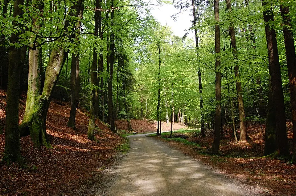 Arboretum Volčji Potok