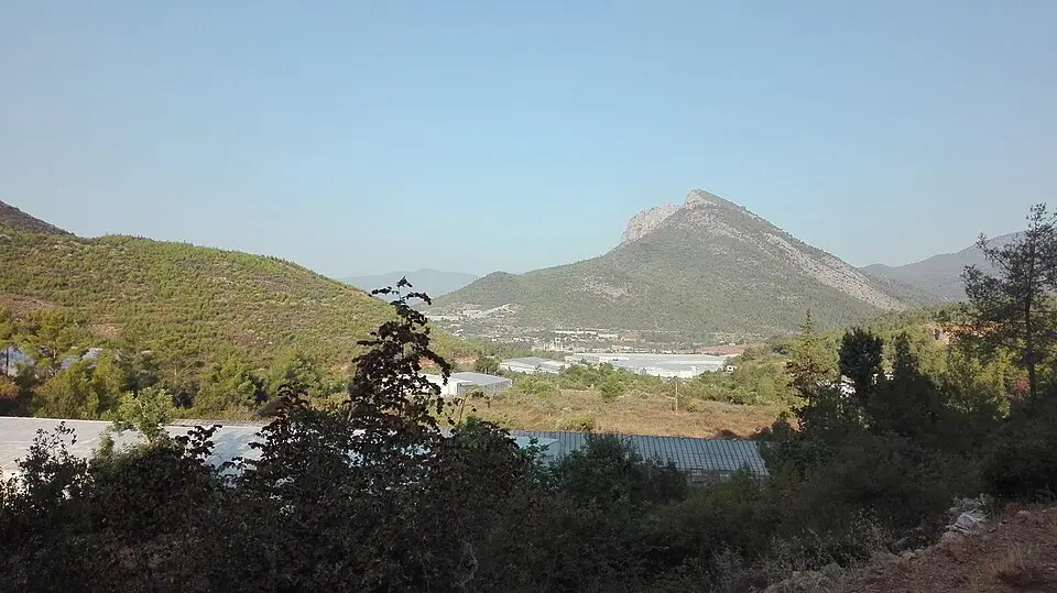 Gözsüzce