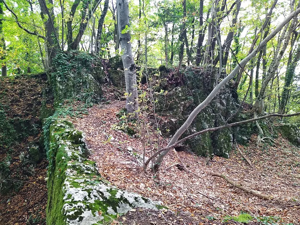 Grad Freudenberg