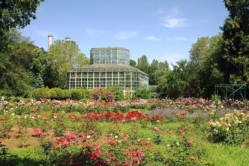 Grădina Botanică din București