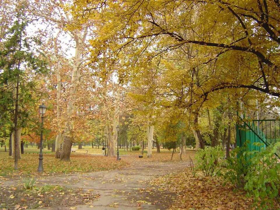 Градски парк