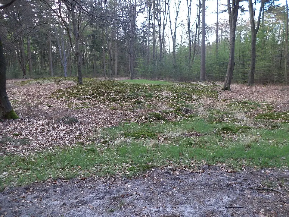 Terrein waarin drie grafheuvels