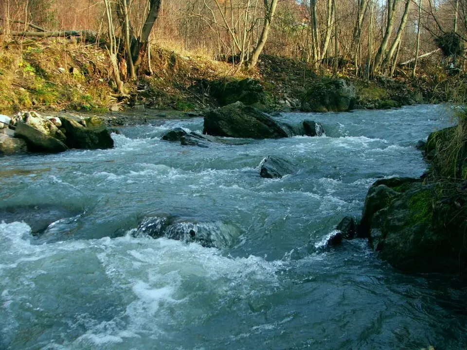 Grajcarek