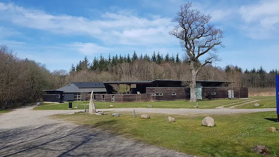 Gram Lergrav – Palæontologi