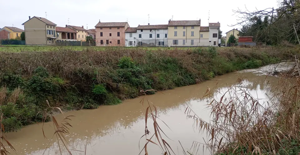 Grana del Monferrato