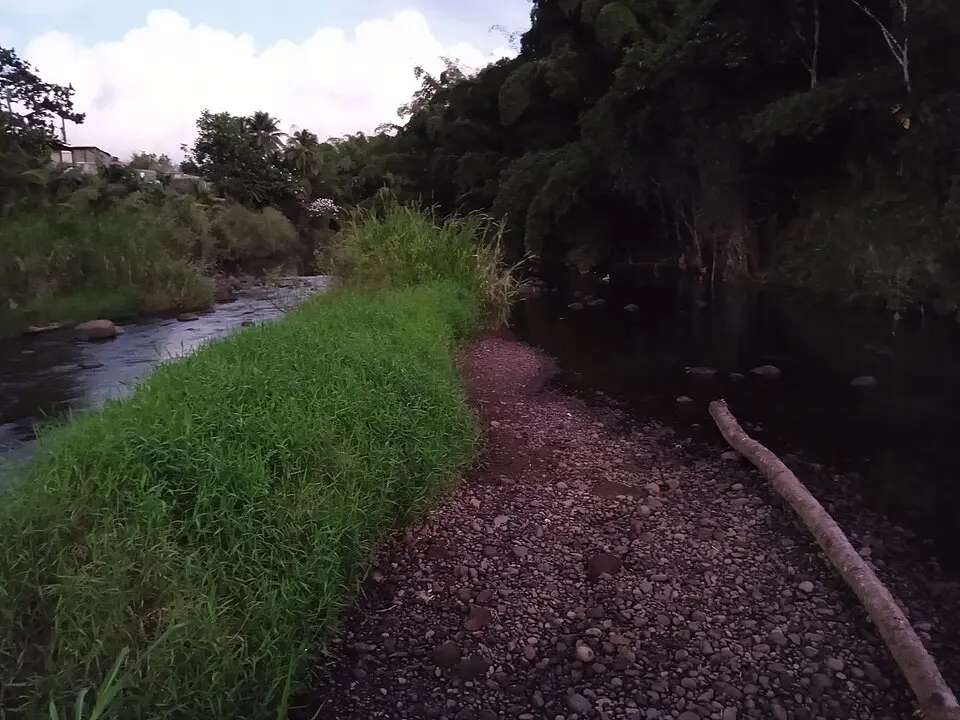 Grande Rivière à Goyaves