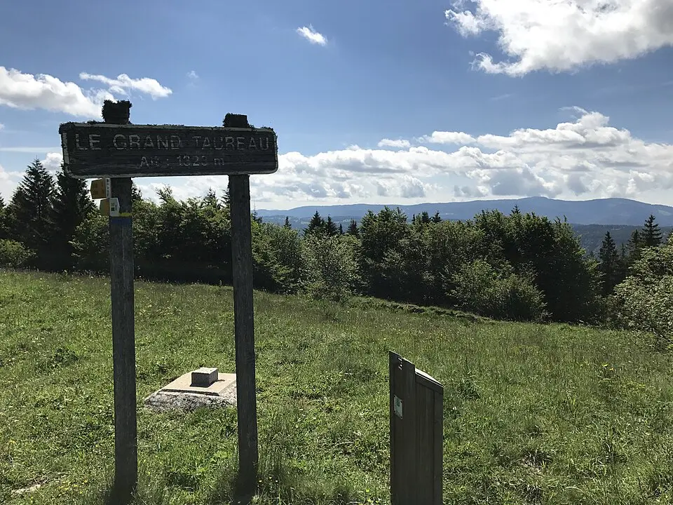 Grand Taureau