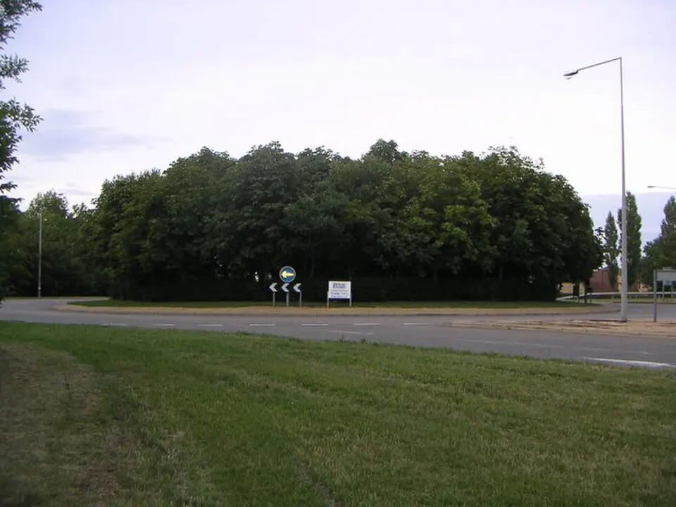 Whitehouse