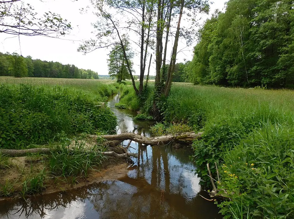 Damianów