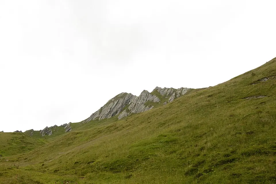 Graskopf