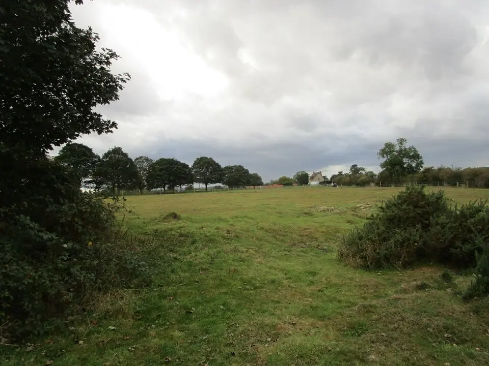 Langford medieval village, including moat and open field system, 450m north west of Elmtree Farm