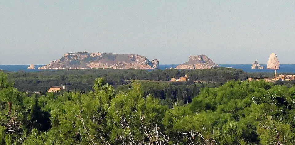 Islas Medas