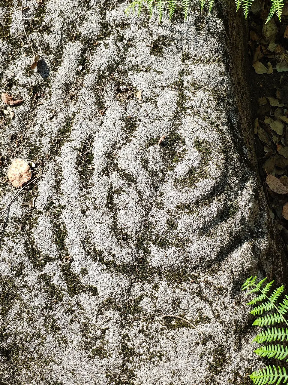 Gravuras Rupestres da Tapada de Ozão e do Monte da Lage