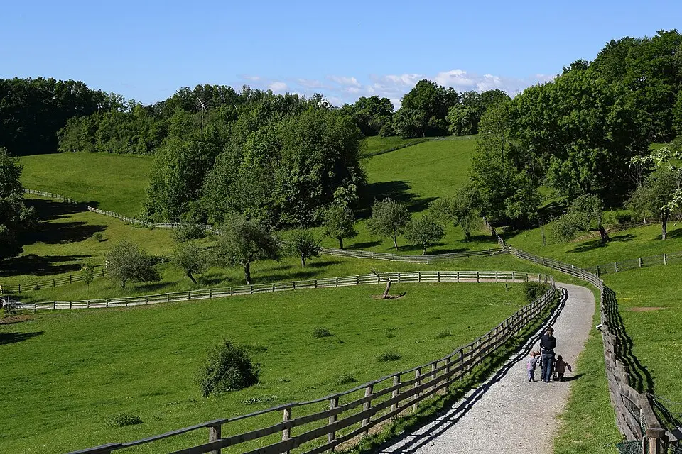 Lustbühel