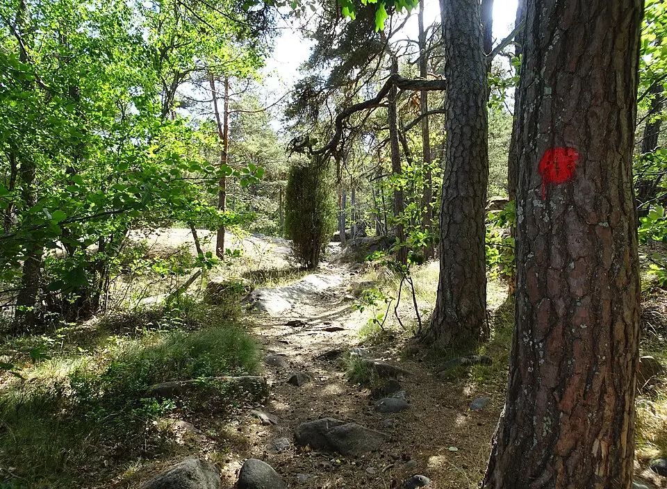 Gränsö
