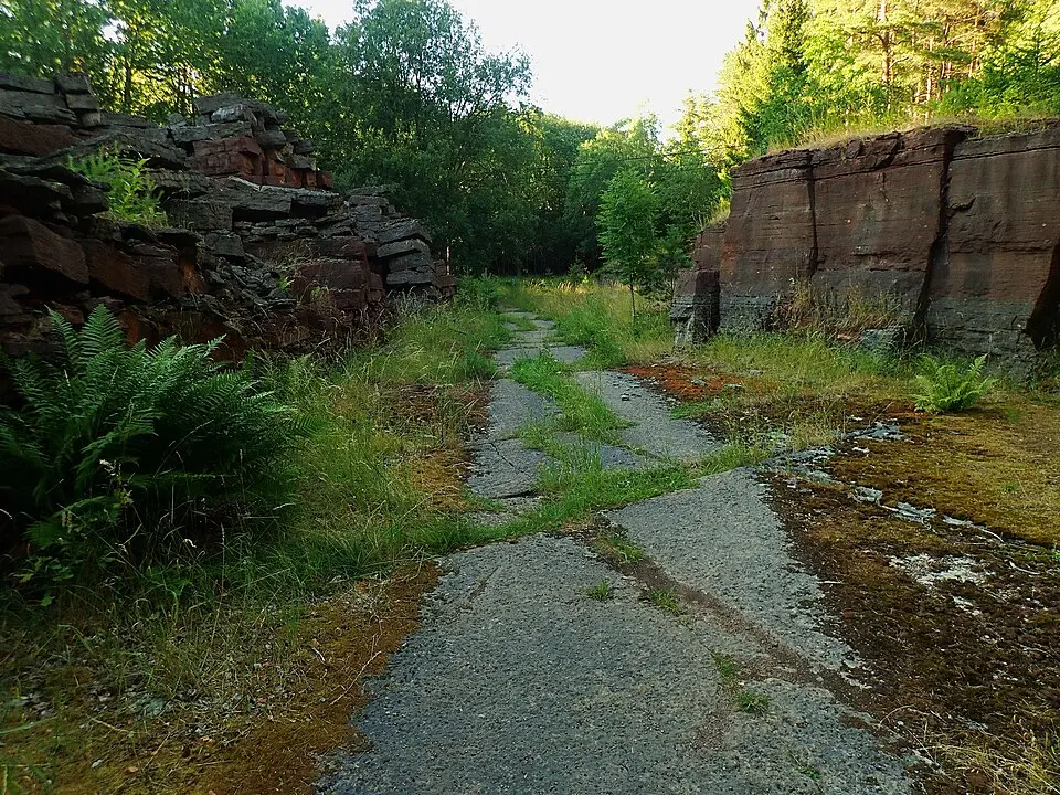 Gröne skog