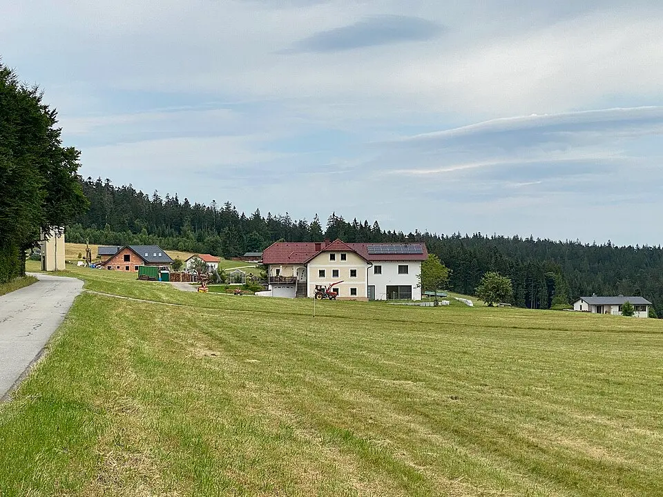 Grünwald bei Aigen