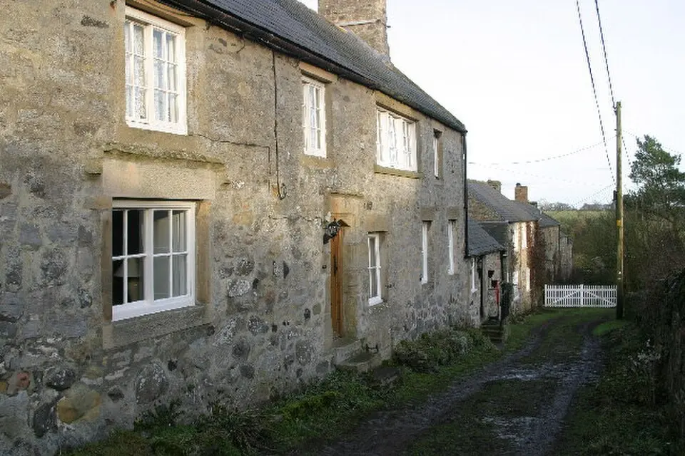 Bavington