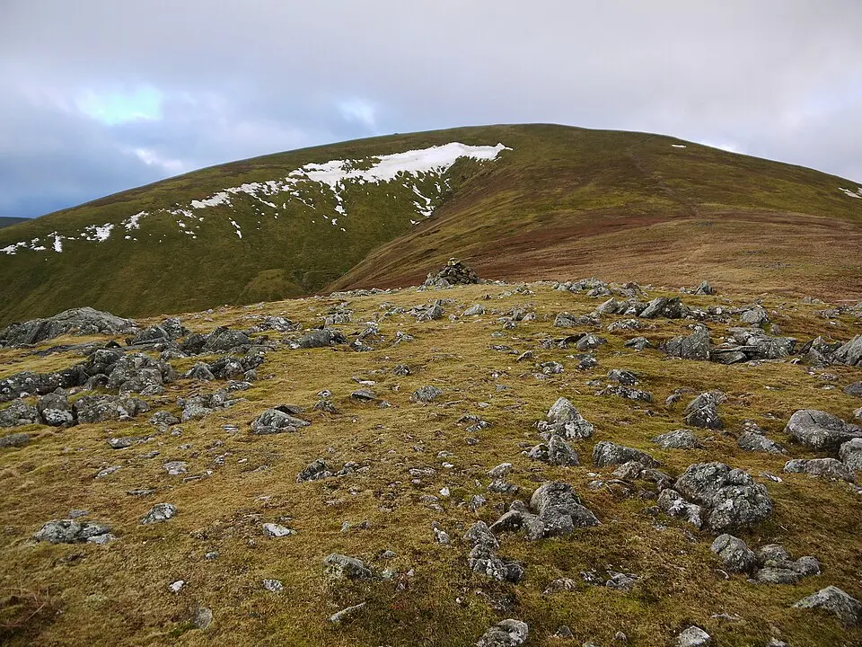 Great Dodd