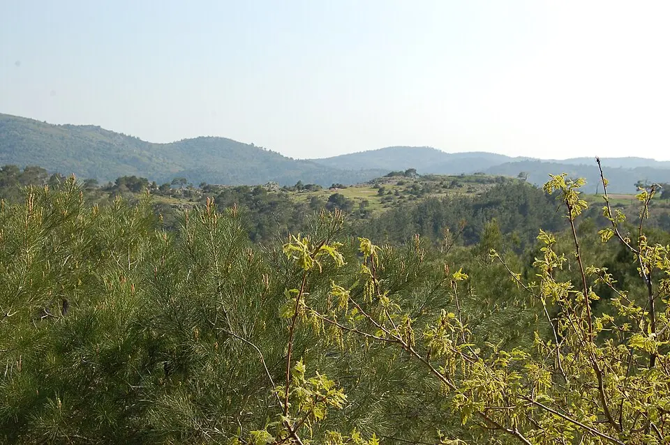 Dadia Forest