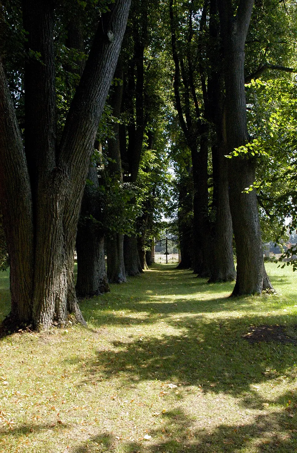 Obrázok: Manfred Kuzel · CC BY-SA 3.0 Gartenbaudenkmale und Umfassungsanlagen im Schlosspark Greillenstein