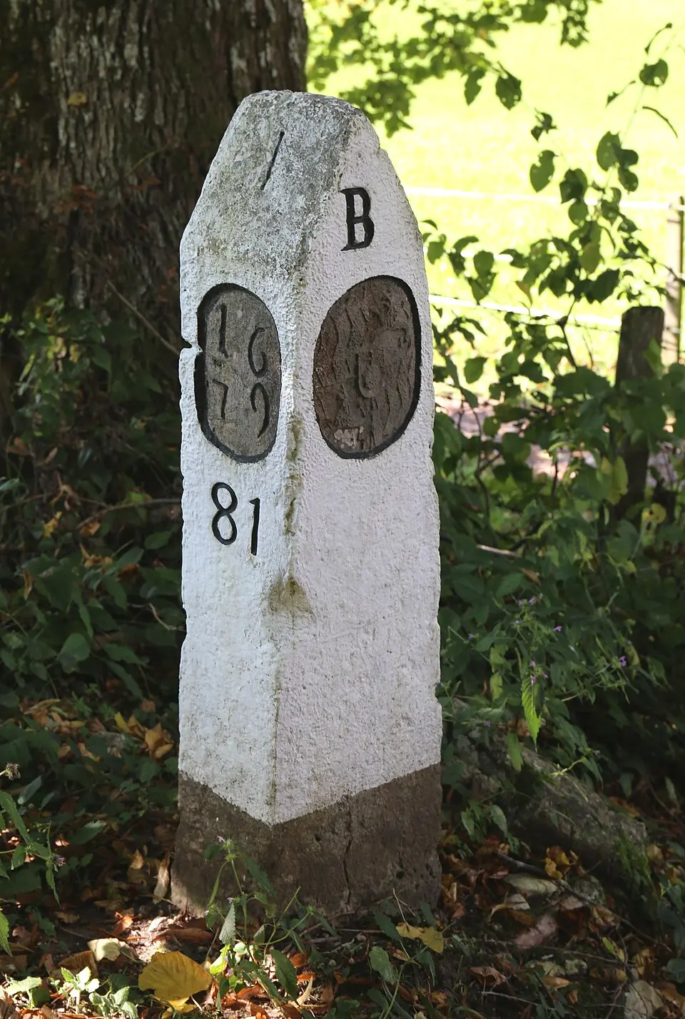 Grenzstein Nr. 81
